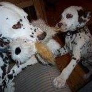 Meet your Posher, Debra